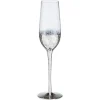 Best Flute Metallic Zilver Glazen & Mokken