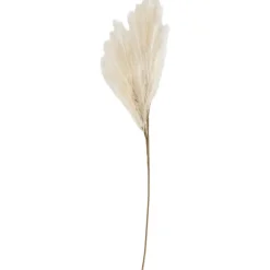 Online Kunsttak Pluim Lichtbruin Kunstplanten & Kunstbloemen