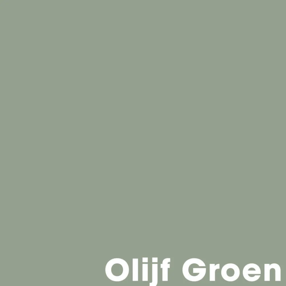 Cheap Muurverf Mat Olijf Groen - 1 L Muurverf
