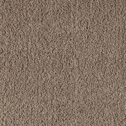 Best Vloerkleed Parlin Naturel Vloerkleden