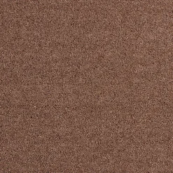 New Vloerkleed Phelps Bruin Vloerkleden