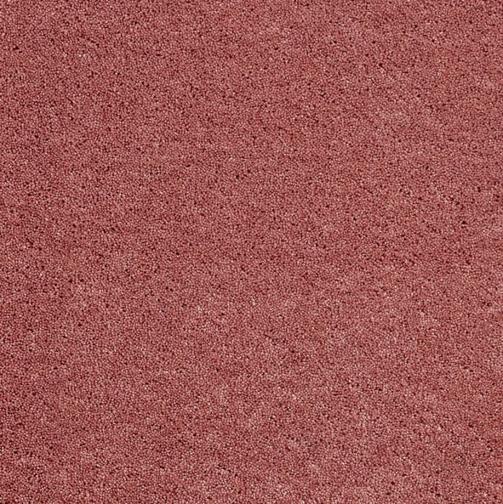 Online Vloerkleed Phelps Roze Vloerkleden
